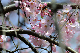 image0151