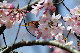 image0152