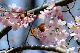 image0153