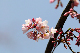 image0163