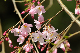 image0165
