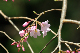 image0166