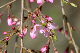 image0167