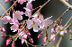 image0168