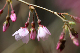 image0171