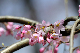image0173