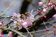 image0174