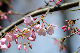 image0176