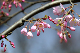 image0177