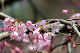 image0178