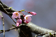 image0180