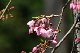 image0186