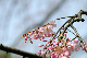 image0188