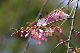 image0189