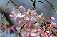 image0191
