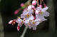 image0192