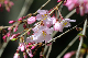 image0193