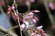 image0194