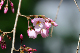 image0195