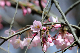 image0196