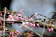 image0197