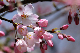image0200