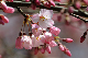 image0202