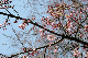 image0204