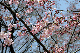 image0207