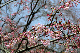 image0210