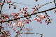 image0211