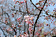 image0212