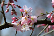 image0220