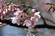 image0221