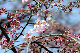 image0222