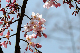 image0224