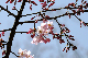 image0225