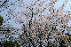 image0229