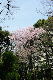 image0230