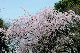 image0231