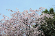 image0232