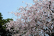 image0233