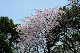 image0234