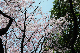 image0235
