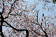 image0236