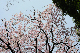 image0237