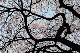 image0239