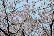 image0240