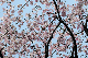 image0241