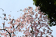 image0242